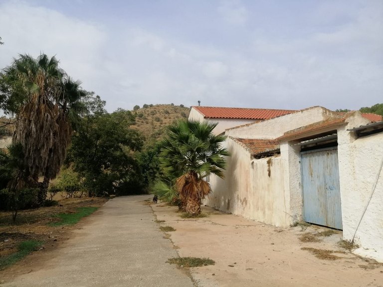 Plot for Sale in Cártama, Malaga 30