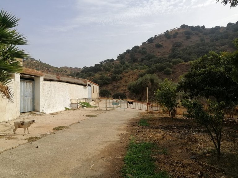 Plot for Sale in Cártama, Malaga 31