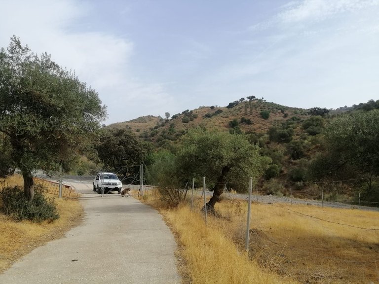 Plot for Sale in Cártama, Malaga 36