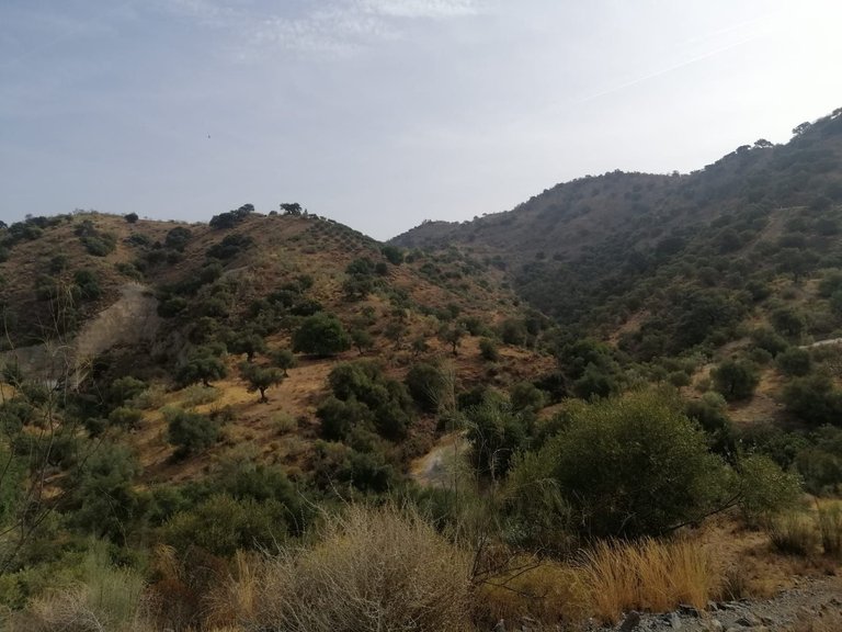 Plot for Sale in Cártama, Malaga 37