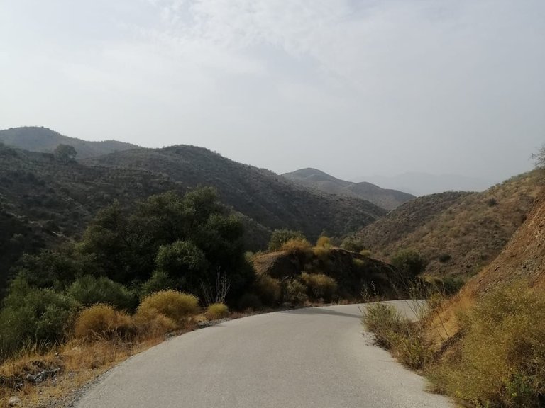 Plot for Sale in Cártama, Malaga 38