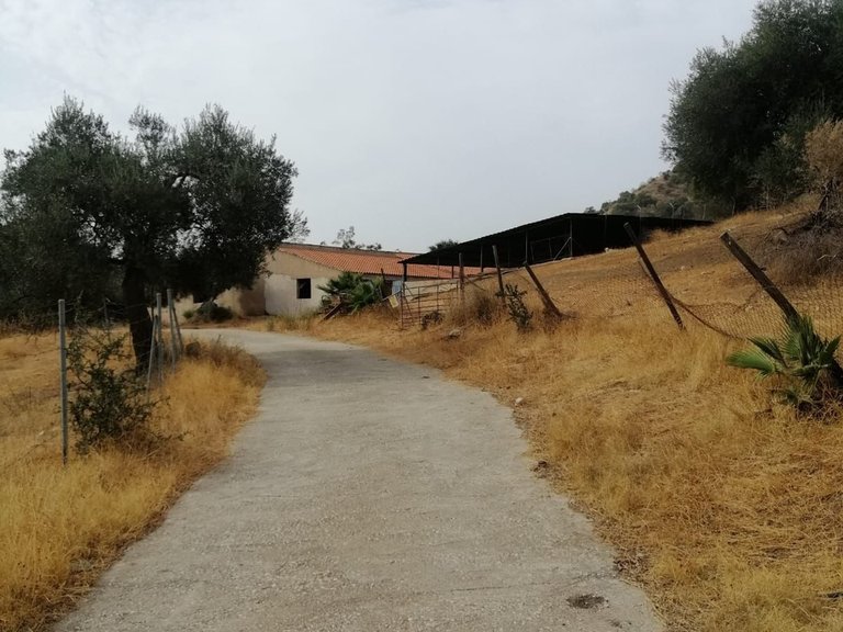 Plot for Sale in Cártama, Malaga 39