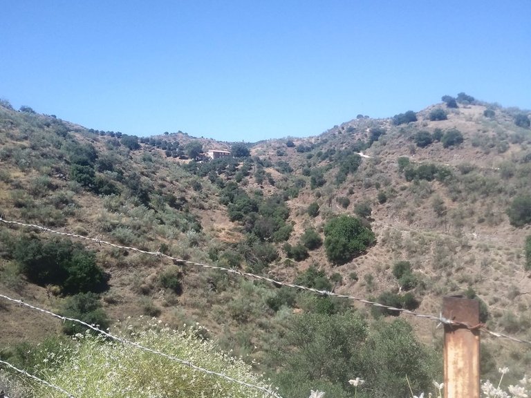 Plot for Sale in Cártama, Malaga 5