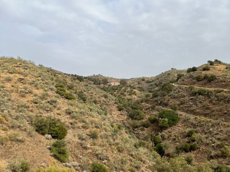 Plot for Sale in Cártama, Malaga 6