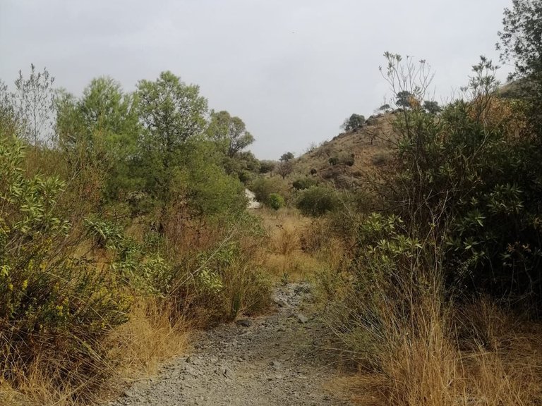 Plot for Sale in Cártama, Malaga 8