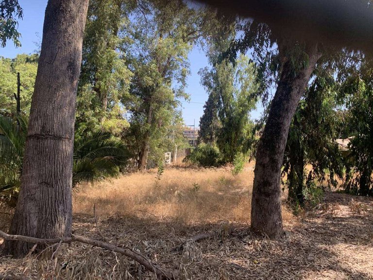 Plot for Sale in Marbella, Malaga 2