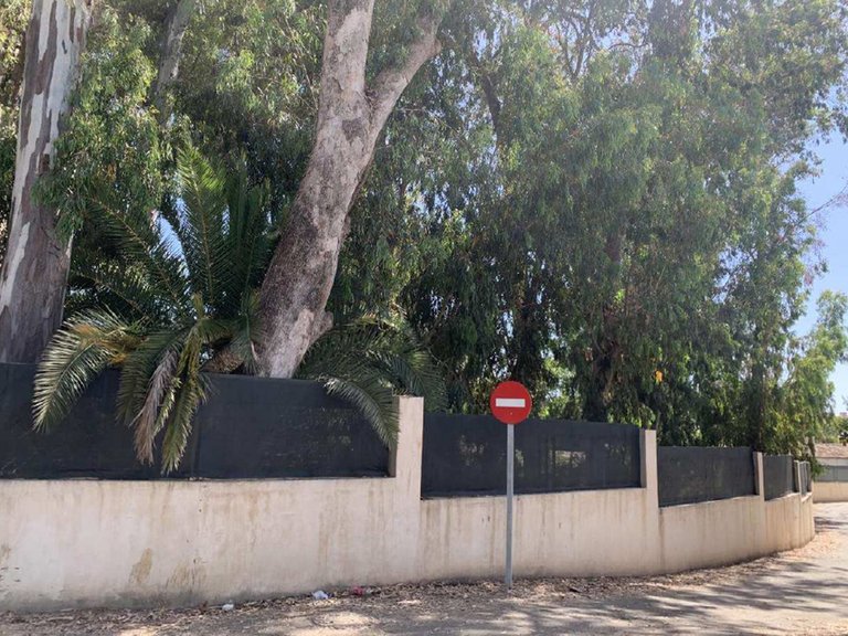 Plot for Sale in Marbella, Malaga 3