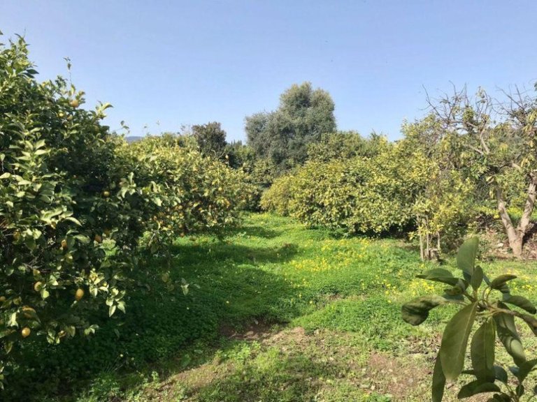 Country House for Sale in Estepona, Malaga 17