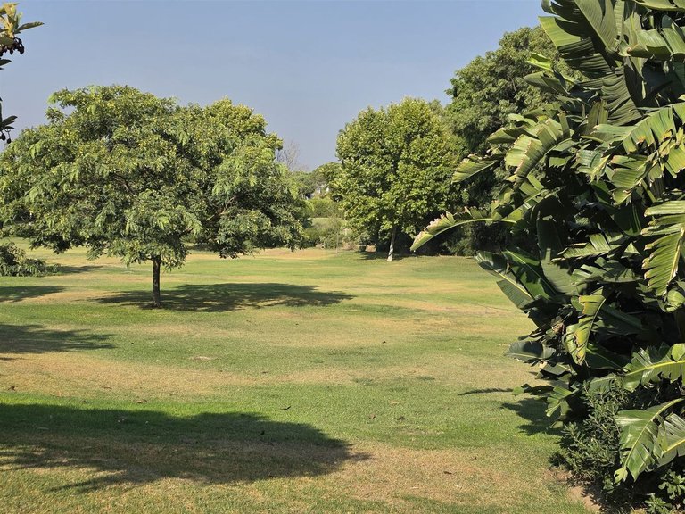 Apartment for Sale in Benamara, Malaga 21