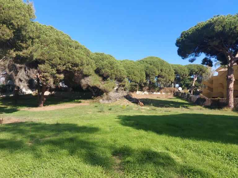 Plot for Sale in Elviria, Malaga 1