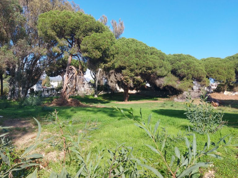 Plot for Sale in Elviria, Malaga 2