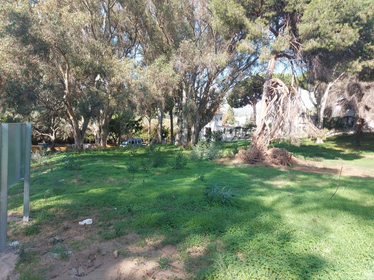 Plot for Sale in Elviria, Malaga 4