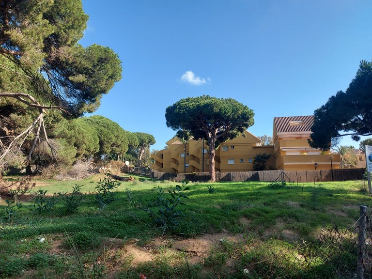 Plot for Sale in Elviria, Malaga 5