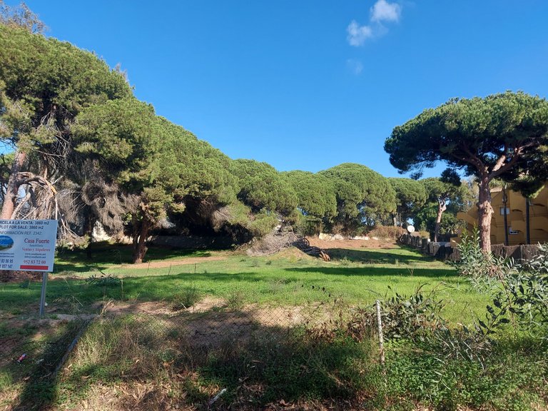 Plot for Sale in Elviria, Malaga 6