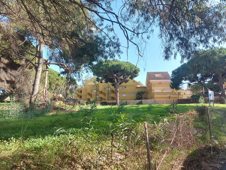 Plot for Sale in Elviria, Malaga 7