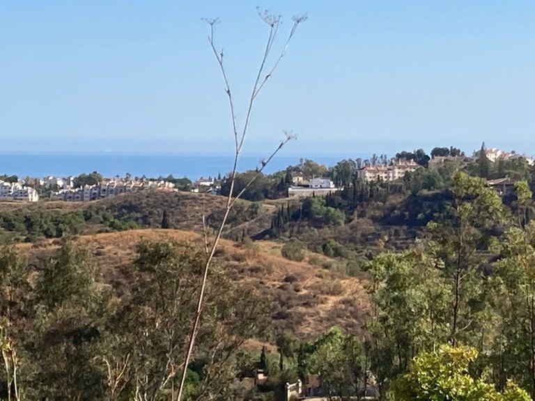 Plot for Sale in Mijas, Malaga 2