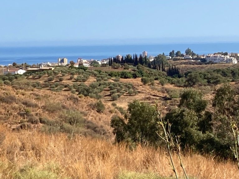 Plot for Sale in Mijas, Malaga 4
