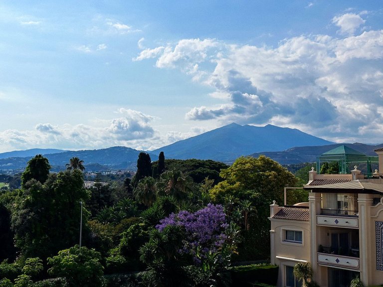 Apartment for Sale in The Golden Mile, Malaga 37