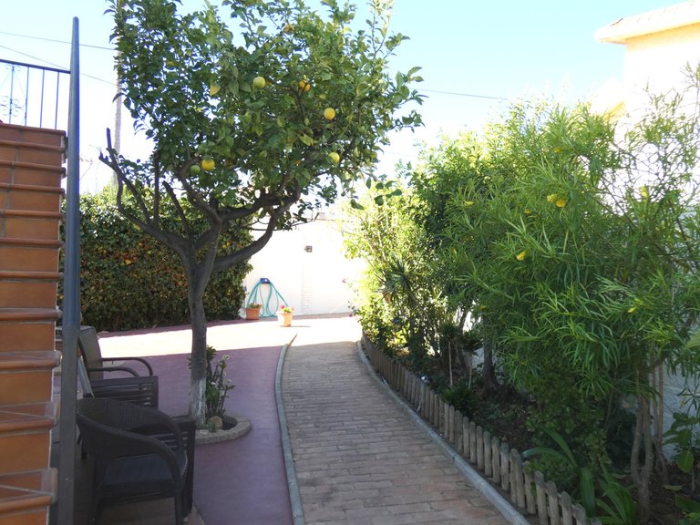 Villa for Sale in San Pedro De Alcántara, Malaga 17