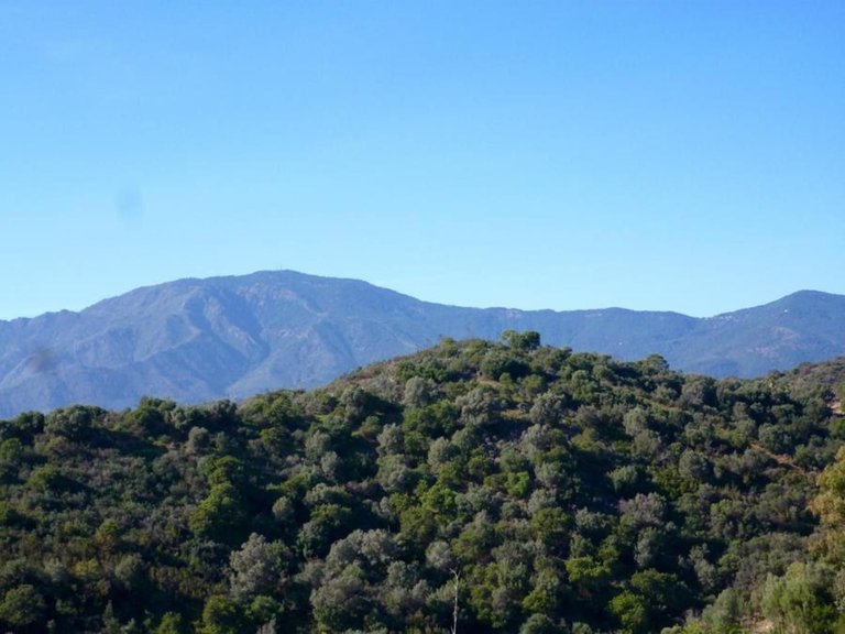 Plot for  in Estepona, Malaga 1