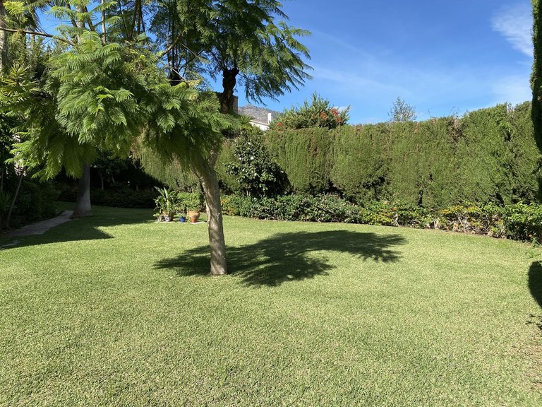 Villa for Sale in Inland Campo Mijas, Malaga 41
