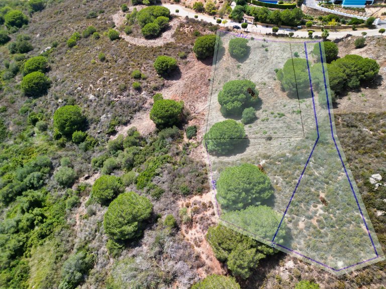 Plot for Sale in Sotogrande Alto, Malaga 10