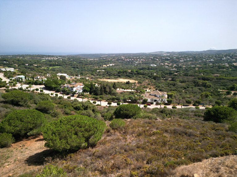 Plot for Sale in Sotogrande Alto, Malaga 4