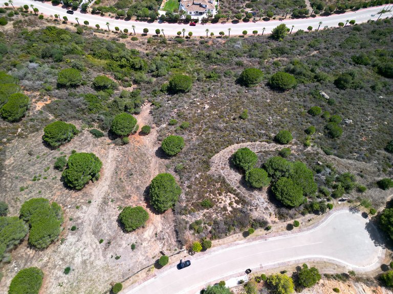 Plot for Sale in Sotogrande Alto, Malaga 5
