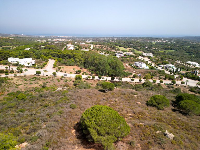 Plot for Sale in Sotogrande Alto, Malaga 8