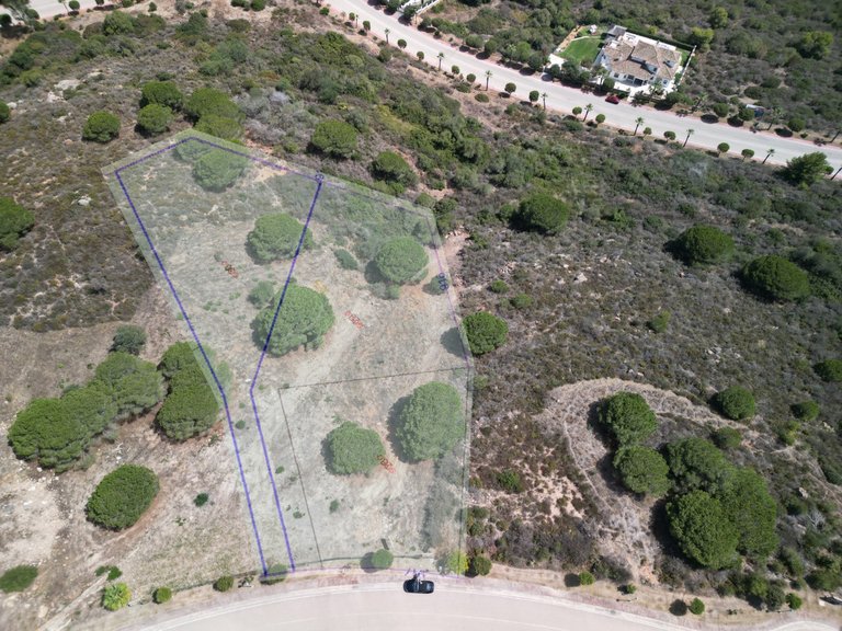 Plot for Sale in Sotogrande Alto, Malaga 9