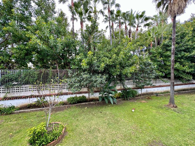 Apartment for Sale in Estepona, Malaga 13
