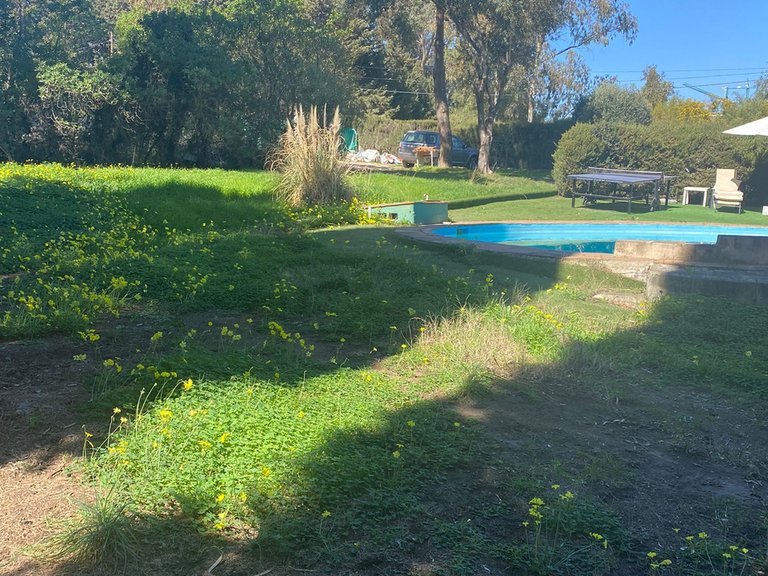 Plot for Sale in The Golden Mile, Malaga 2