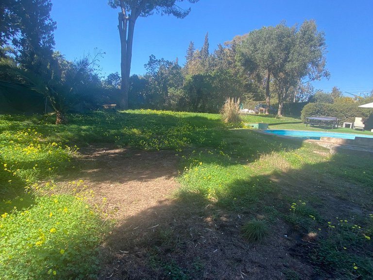 Plot for Sale in The Golden Mile, Malaga 4