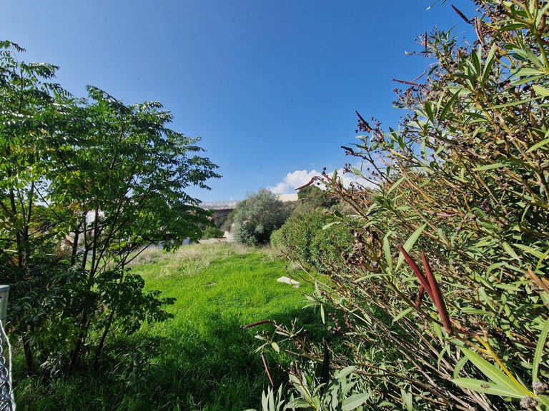 Plot for Sale in Nueva Andalucía, Malaga 4