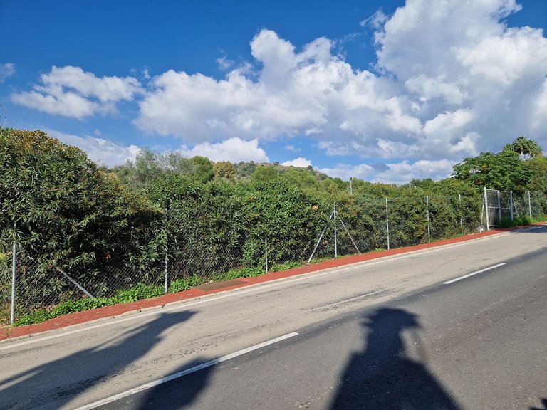 Plot for Sale in Nueva Andalucía, Malaga 5