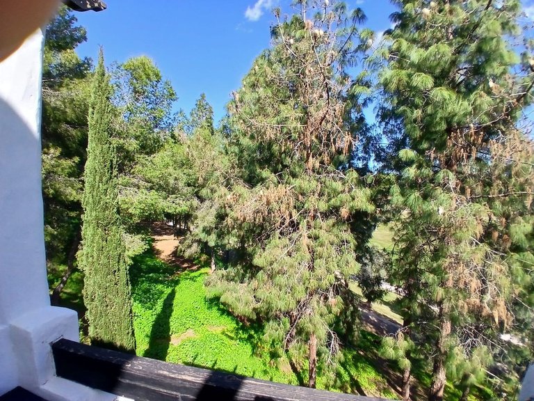 Apartment for Sale in Benalmadena, Malaga 40