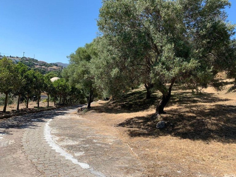 Plot for Sale in Elviria, Malaga 1