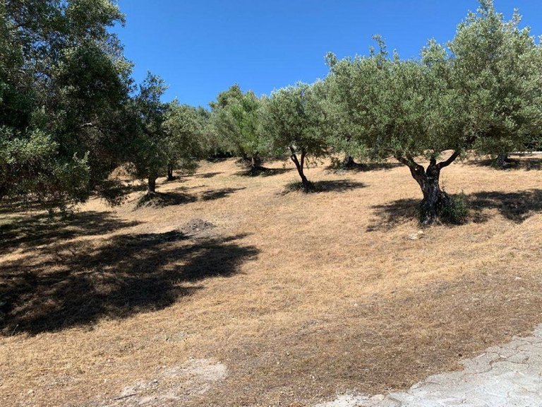 Plot for Sale in Elviria, Malaga 5