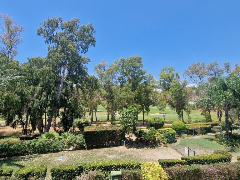 Apartment for Rent in Estepona, Malaga 5