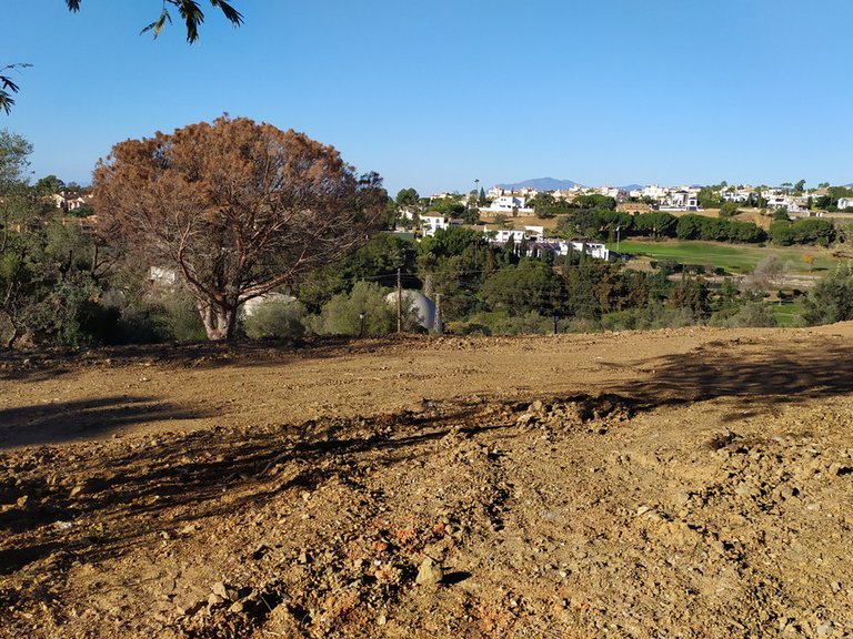 Plot for Sale in Marbella, Malaga 6