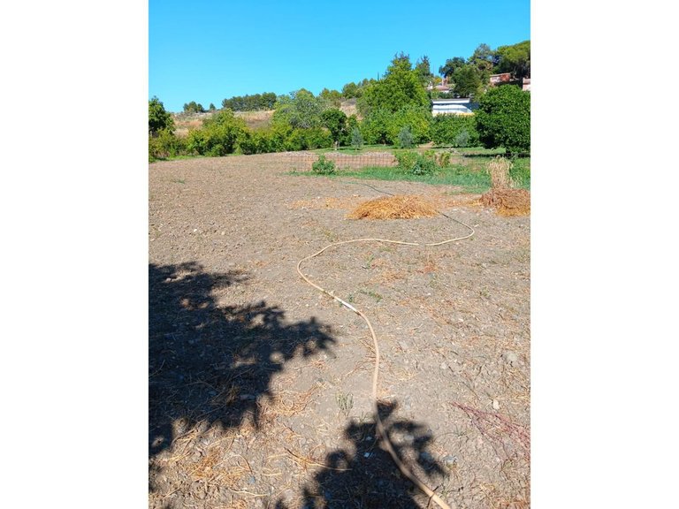 Villa for  in Estepona, Malaga 39