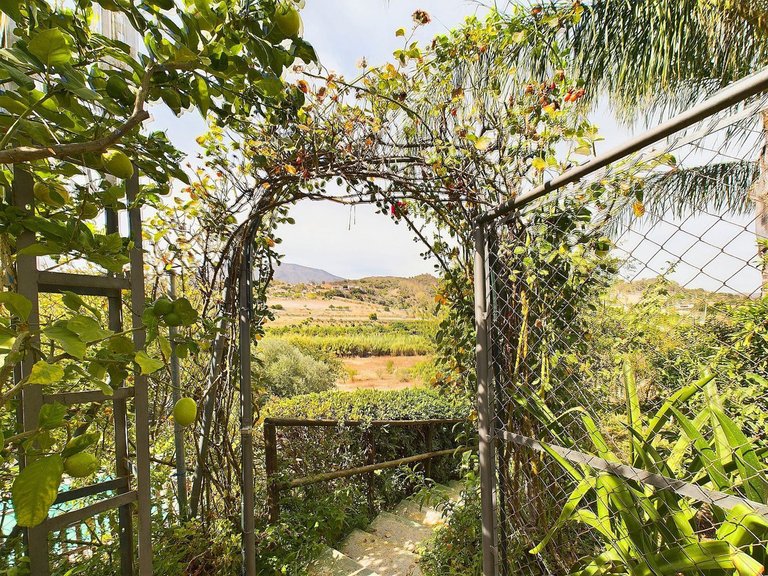 Villa for  in Estepona, Malaga 9