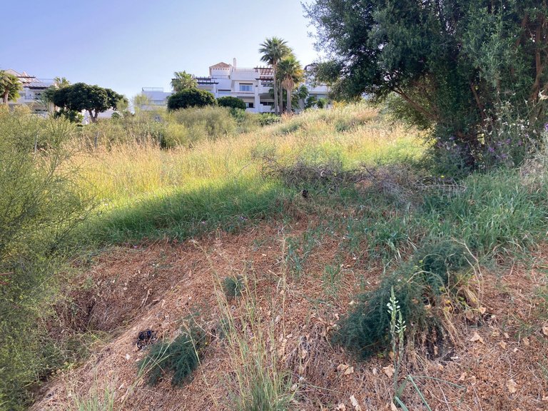 Plot for Sale in Benahavís, Malaga 7