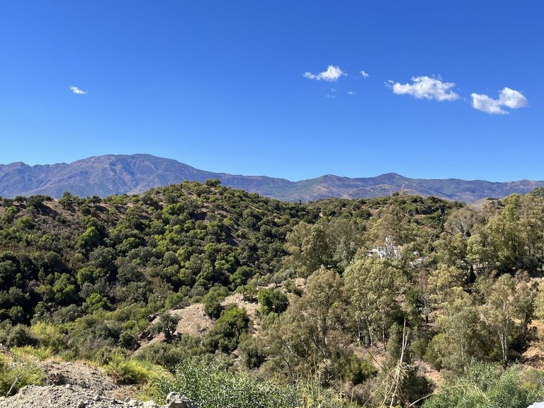 Plot for Sale in Selwo, Malaga 1