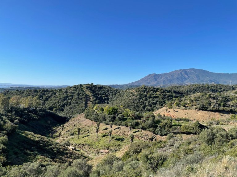 Plot for Sale in Selwo, Malaga 3