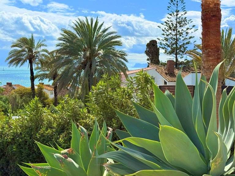 Villa for Sale in Estepona, Malaga 8