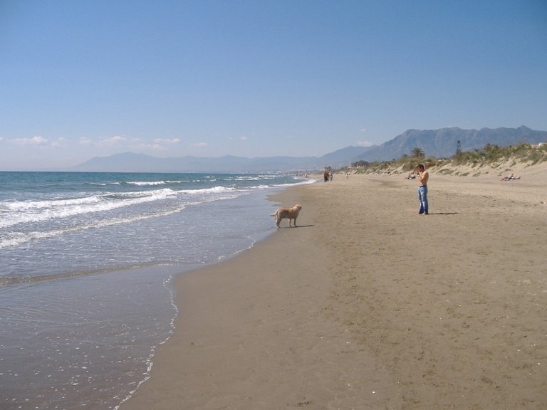 Plot for Sale in La Mairena, Malaga 14