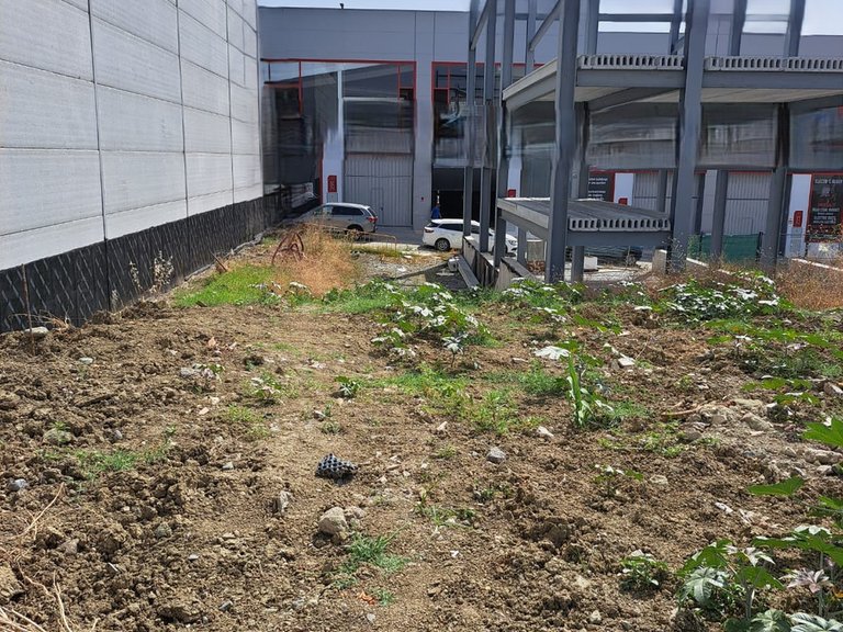 Plot for Sale in San Pedro De Alcántara, Malaga 12