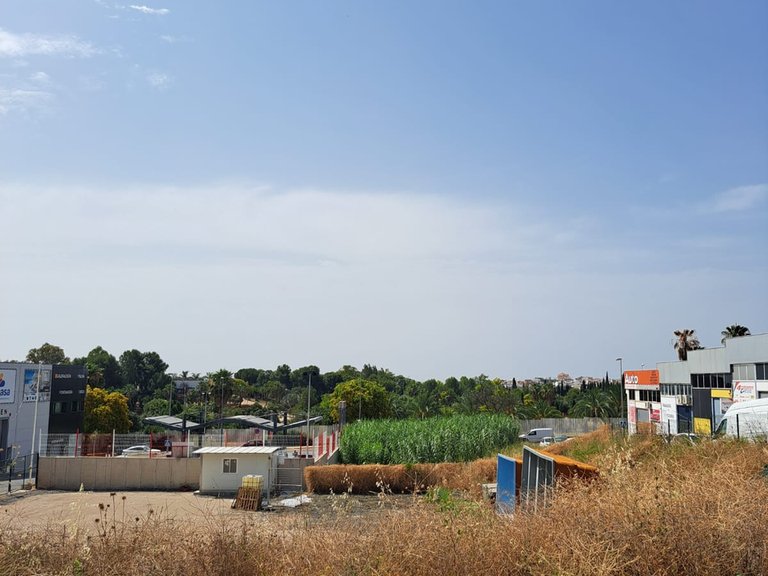Plot for Sale in San Pedro De Alcántara, Malaga 16