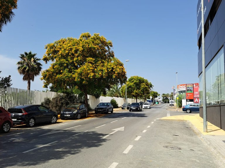 Plot for Sale in San Pedro De Alcántara, Malaga 7